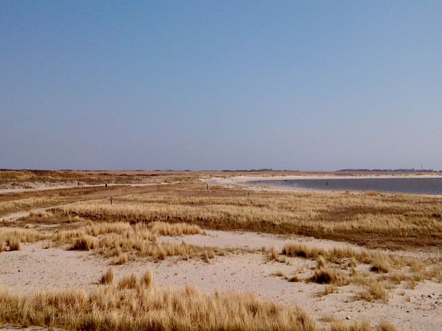 Naturschutzgebiet Greune Stee
