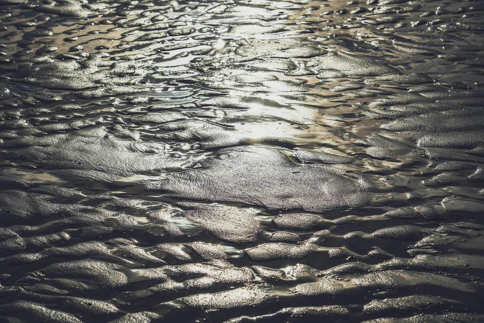 Wattenmeer